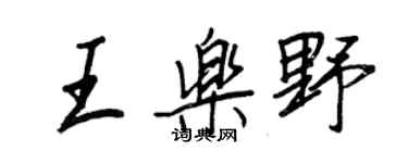 王正良王樂野行書個性簽名怎么寫