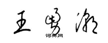 梁錦英王勇潮草書個性簽名怎么寫