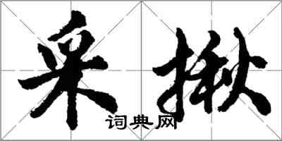 胡問遂采揪行書怎么寫