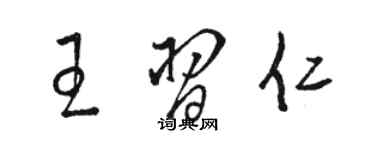 駱恆光王習仁草書個性簽名怎么寫