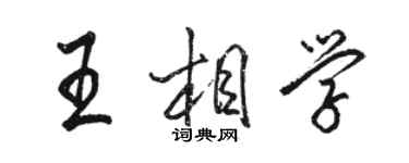 駱恆光王相學行書個性簽名怎么寫