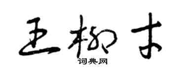 曾慶福王柳才草書個性簽名怎么寫