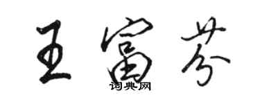 駱恆光王富芬行書個性簽名怎么寫