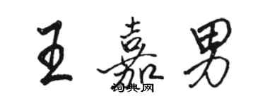 駱恆光王嘉男行書個性簽名怎么寫