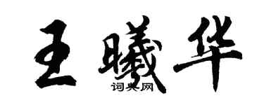 胡問遂王曦華行書個性簽名怎么寫