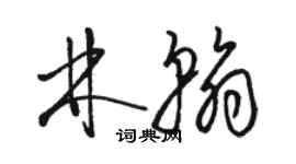 駱恆光林翰草書個性簽名怎么寫