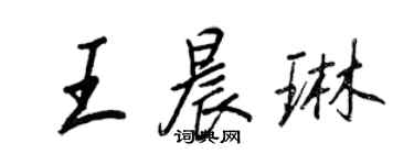 王正良王晨琳行書個性簽名怎么寫