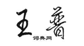 駱恆光王普行書個性簽名怎么寫