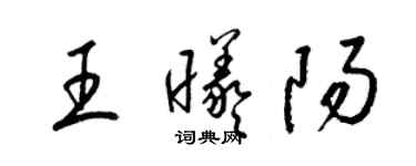 梁錦英王曦陽草書個性簽名怎么寫