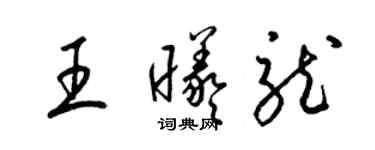 梁錦英王曦龍草書個性簽名怎么寫