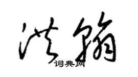 梁錦英洪翰草書個性簽名怎么寫