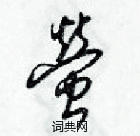 梁錦英寫的硬筆草書螢