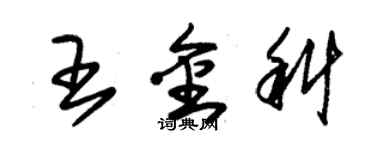 朱錫榮王金科草書個性簽名怎么寫