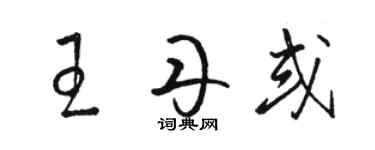 駱恆光王丹或草書個性簽名怎么寫