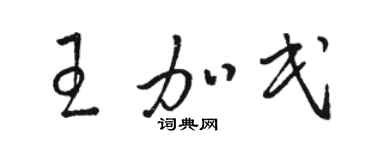 駱恆光王加民草書個性簽名怎么寫
