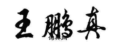 胡問遂王鵬真行書個性簽名怎么寫