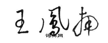 駱恆光王鳳南草書個性簽名怎么寫