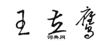 駱恆光王立鷹草書個性簽名怎么寫