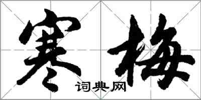 胡問遂寒梅行書怎么寫