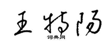 梁錦英王特陽草書個性簽名怎么寫