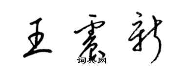 梁錦英王震新草書個性簽名怎么寫