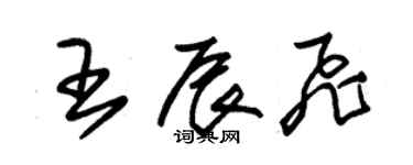 朱錫榮王辰飛草書個性簽名怎么寫