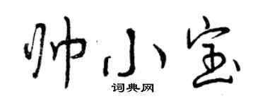 曾慶福帥小寶行書個性簽名怎么寫