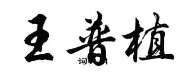 胡問遂王普植行書個性簽名怎么寫