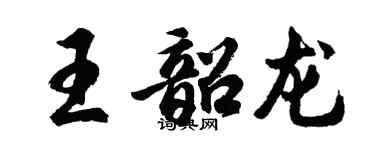 胡問遂王韶龍行書個性簽名怎么寫