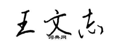 王正良王文志行書個性簽名怎么寫