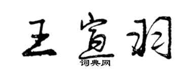 曾慶福王宣羽行書個性簽名怎么寫