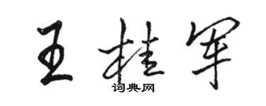 駱恆光王桂軍行書個性簽名怎么寫