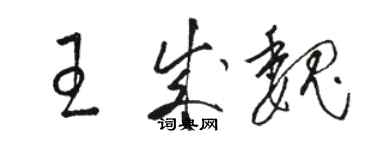 駱恆光王成魏草書個性簽名怎么寫