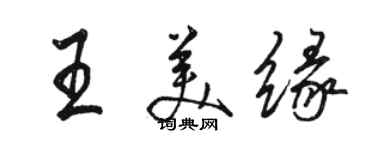 駱恆光王美緣行書個性簽名怎么寫