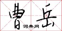 曹岳怎么寫好看