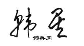 駱恆光韓星草書個性簽名怎么寫