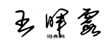 朱錫榮王暉霞草書個性簽名怎么寫