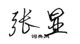 駱恆光張顯行書個性簽名怎么寫