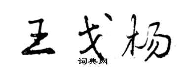 曾慶福王戈楊行書個性簽名怎么寫