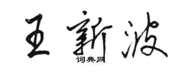 駱恆光王新波行書個性簽名怎么寫