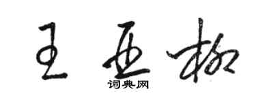 駱恆光王亞柳草書個性簽名怎么寫