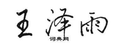 駱恆光王澤雨行書個性簽名怎么寫