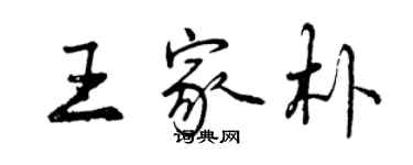 曾慶福王家朴行書個性簽名怎么寫