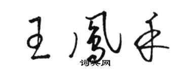 駱恆光王鳳禾草書個性簽名怎么寫