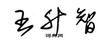 朱錫榮王升智草書個性簽名怎么寫