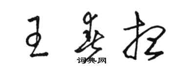 駱恆光王春想草書個性簽名怎么寫