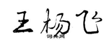 曾慶福王楊飛行書個性簽名怎么寫