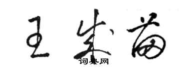 駱恆光王成苗草書個性簽名怎么寫