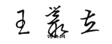 駱恆光王叢立草書個性簽名怎么寫