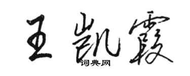 駱恆光王凱霞行書個性簽名怎么寫